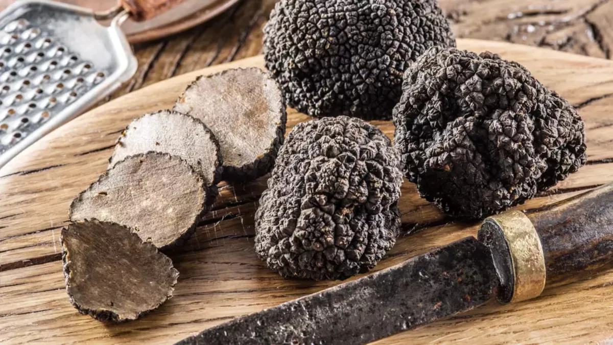 Zeci de mii de kilograme de trufe, culese ilegal în Bacău. Garda de Mediu a aplicat sancțiuni de 390.000 de lei