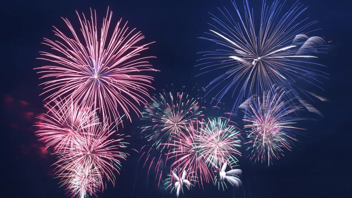 Primăria Capitalei vrea să interzică artificiile și petardele. De când ar urma să intre în vigoare măsura