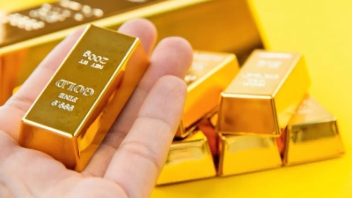 Șoc în curtea unui francez. Monede și lingouri de aur au fost descoperite la săpatul piscinei