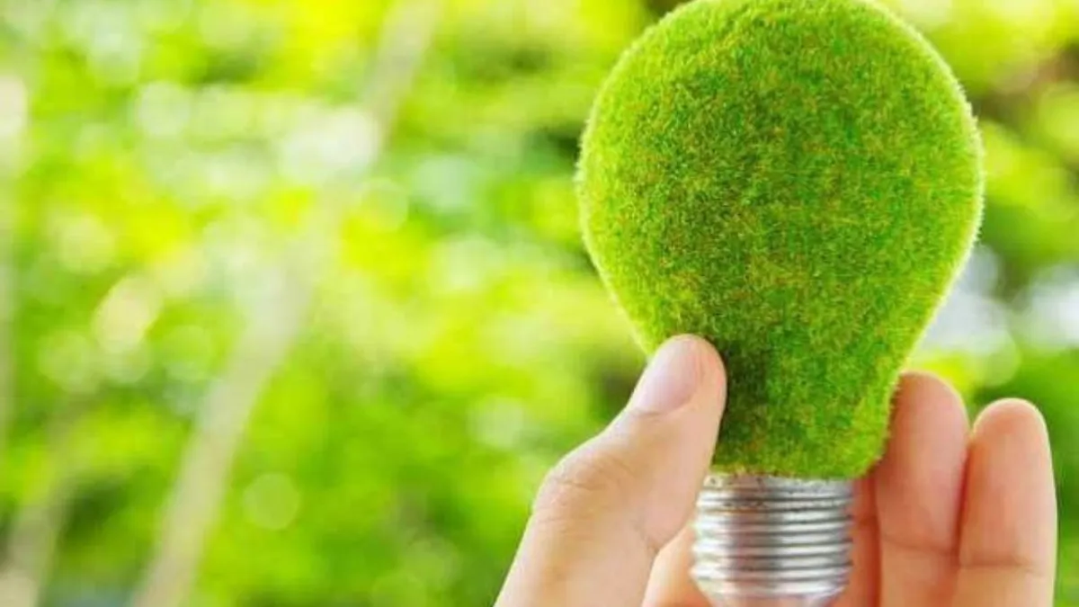 Gazele verzi și energia regenerabilă, pilonii tranziției către Net Zero în viziunea CCIFER