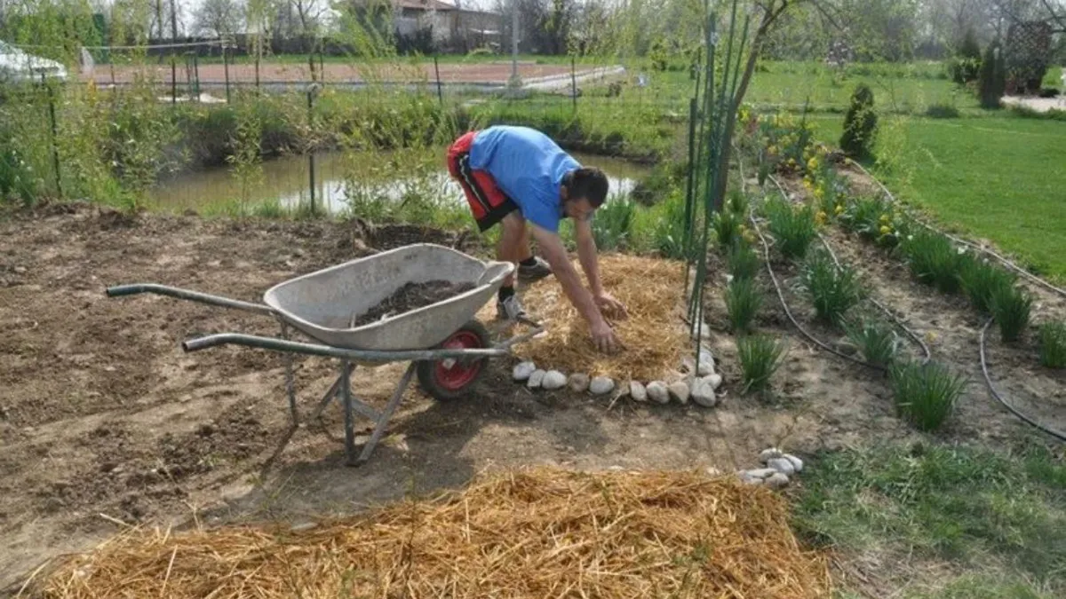 Grădinăritul în România în 2026. Bugetul pentru o grădină de 300 mp depășește 2.500 de lei