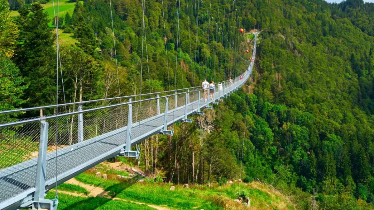 Cel mai înalt pod pietonal suspendat din Europa va fi construit în Parva