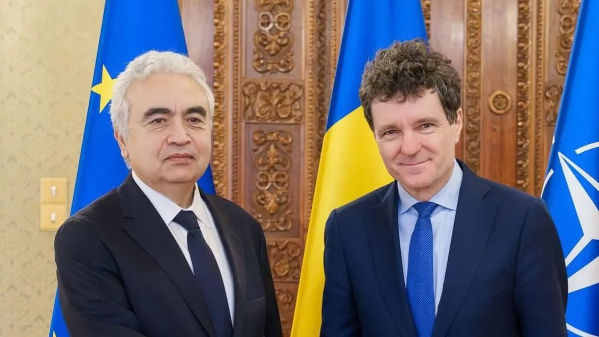 România transmite oficial cererea de aderare la Agenția Internațională pentru Energie