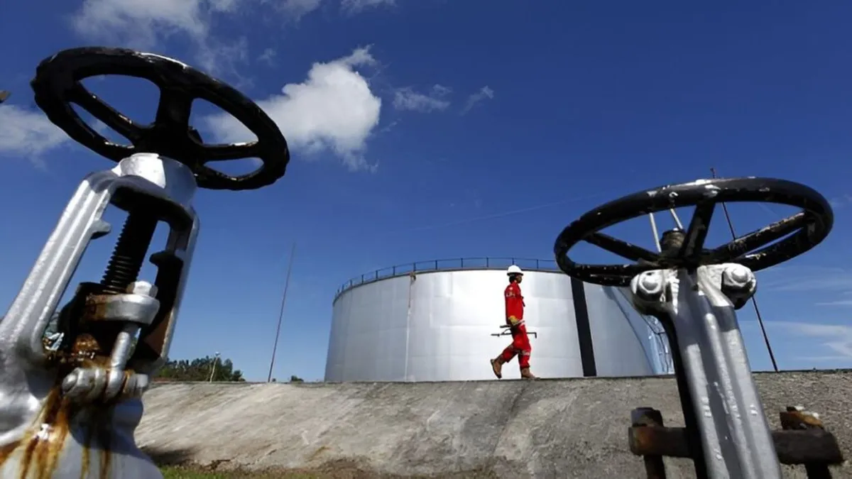 Scandalul Petrotrans SA: Infrastructură strategică distrusă, dar statul încă plătește pentru ea