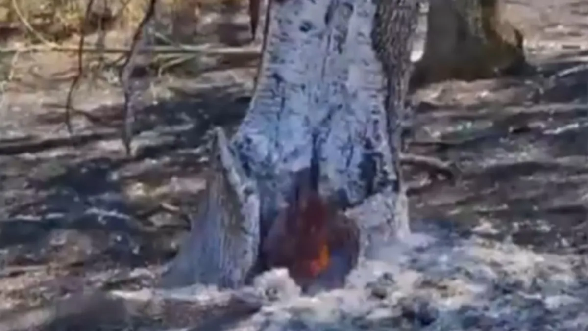 Misterul focului care arde de un an sub pământ, în Lunca Mureșului. Pompierii nu reușesc să stingă focarul
