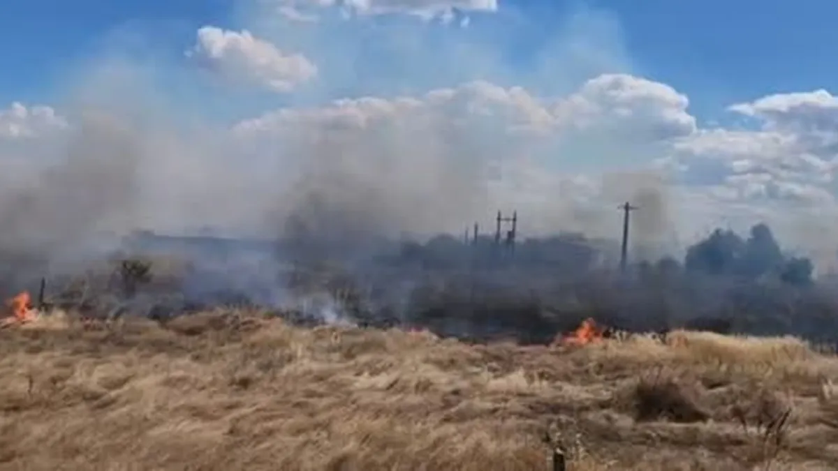 Incendiu de vegetație în Vrancea: Flăcările au cuprins aproximativ 10 hectare