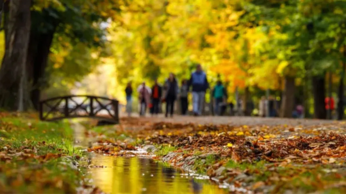 Cum va fi vremea în următoarele patru săptămâni. Temperaturi normale și puține ploi în septembrie