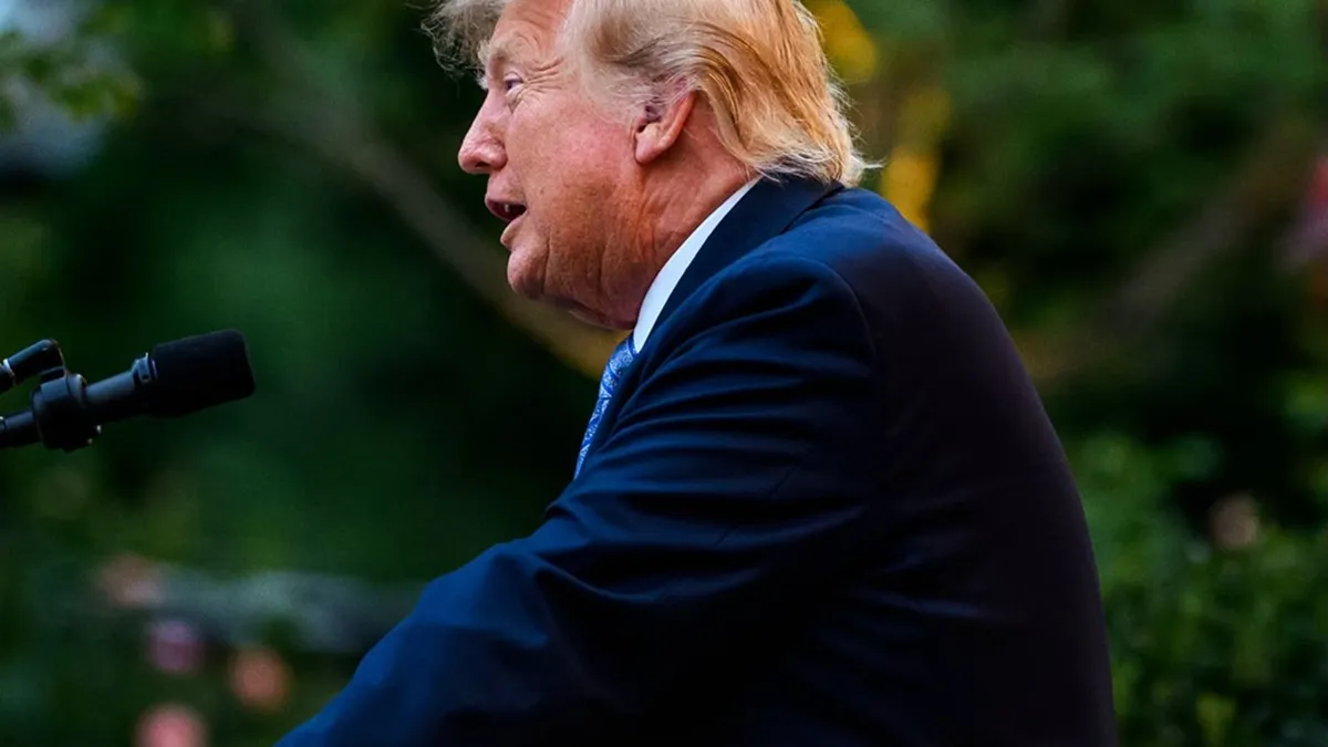 Politica externă a lui Donald Trump, o vulnerabilitate pentru republicani la alegerile din SUA