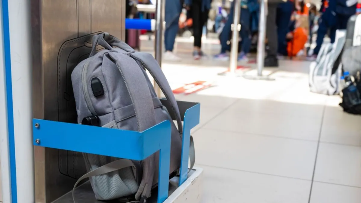 Două bagaje de mână gratuite în avion pentru pasagerii din UE. Când ar putea intra în vigoare noile reguli