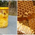 Ce este Căpăceala, leacul miraculos, obținut de apicultori. Antibioticul natural care vindecă o serie de afecțiuni