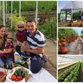 Cine este românul care a dat lovitura în agricultură. Produce legume în solar pe tot parcursul anului: ”Activitatea mea este continuă. Fac producţie 10 luni pe an”