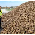 Ministrul Agriculturii, în vizită la fabrica de zahăr de la Luduş: „Doar cumpărând românește susținem afacerile românești”