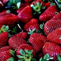 S-au umplut piețele de căpșuni românești! Cât trebuie să scoți din buzunar dacă vrei să te bucuri de aceste fructe absolut delicioase