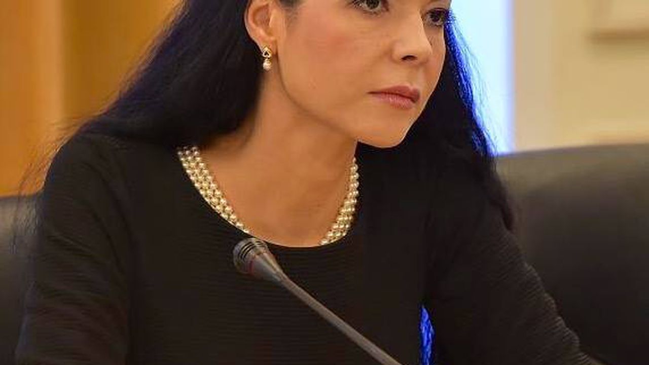 Ana Birchall: Următorul proiect de ţară este asigurarea ...