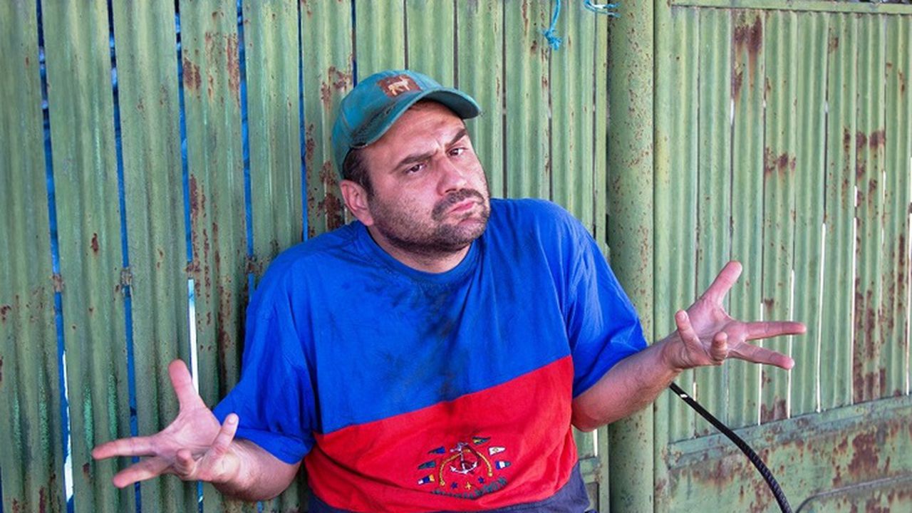 Las Fierbinti Live Video Pro Tv BÄƒtaie DurÄƒ Cu Exatlon La AudienÅ£e Å£ara O Arde Pe