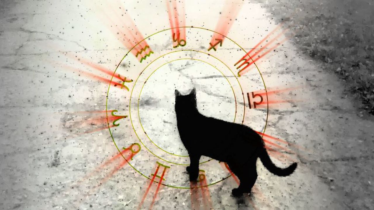 Horoscop 4 Decembrie 2018 Zi PlinÄƒ De Ghinioane Ai GrijÄƒ La ProvocÄƒri