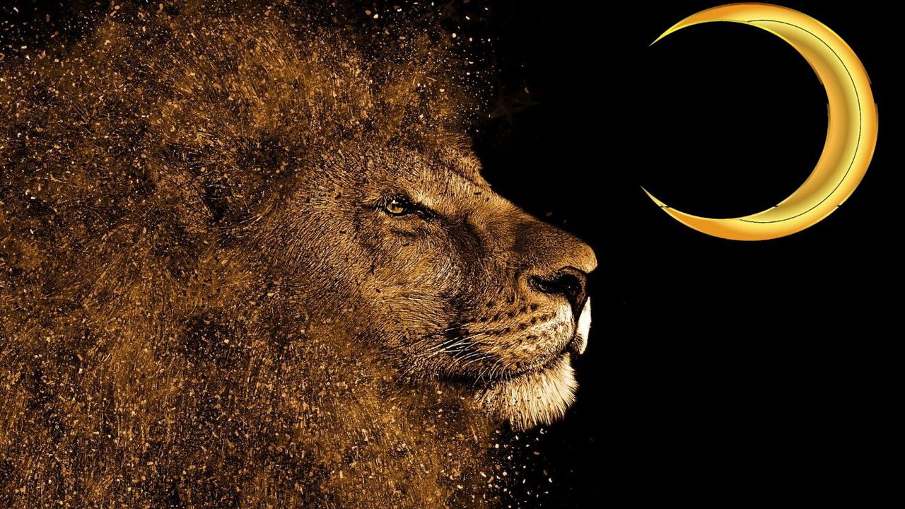 Horoscop Luna Noua in Leu, 18 august 2020. Esti atat de curajos precum e nevoie pentru ce va ...