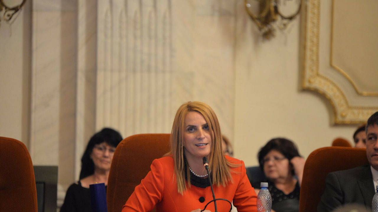 Beatrice Mahler: E nevoie de investiţii în infrastructura ...