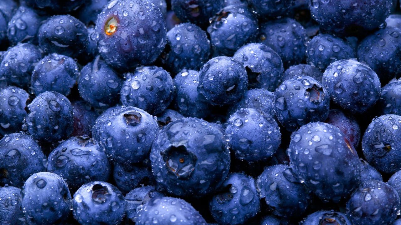 Beneficiile Afinelor Superalimentul Bogat In Nutrienti Si Antioxidanti Bonus Ceaiul De Brusture