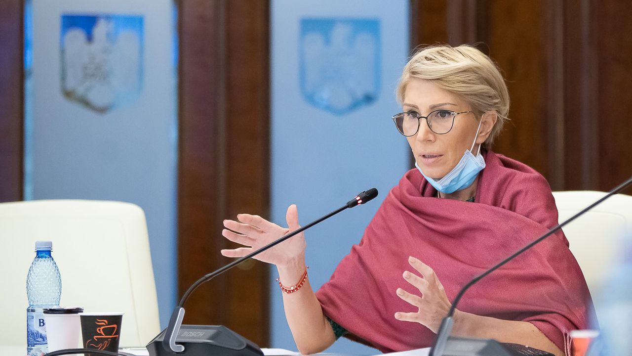 Raluca Turcan: "Aproximativ 35.000 de bugetari primesc şi ...