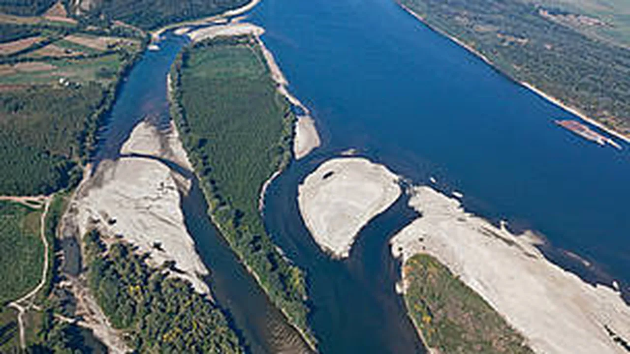 WWF: Seceta care a afectat Dunărea poate avea un impact negativ asupra ecosistemelor