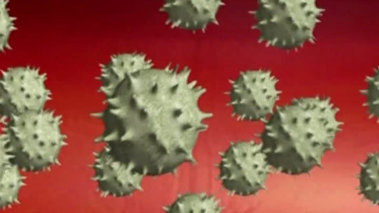 Noul coronavirus a fost denumit Sindromul respitator viral din Orientul Mijlociu