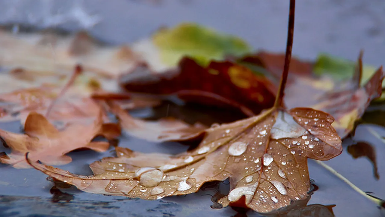 Prognoza Meteo Se StricÄ Vremea In UrmÄtoarele Zile Temperaturile Incep SÄ ScadÄ