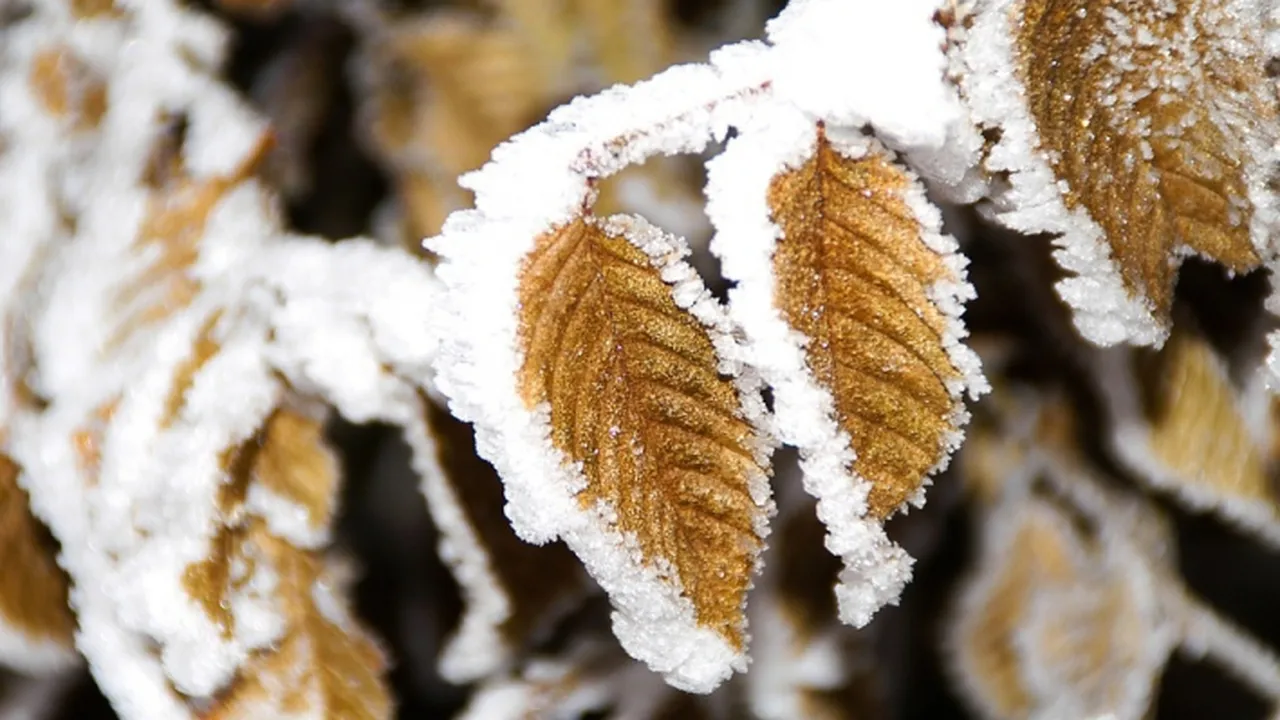 Prognoza Meteo Cum Va Fi Vremea SÄptÄmana Viitoare In Ce Zone Apar Bruma Si Ploile Slabe