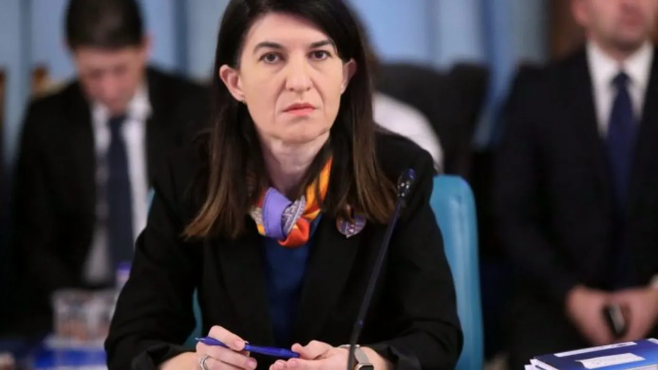 Violeta Alexandru, audiată la Parlament pe tema românilor plecaţi la muncă în străinătate: E dreptul lor să-şi negocieze contractul