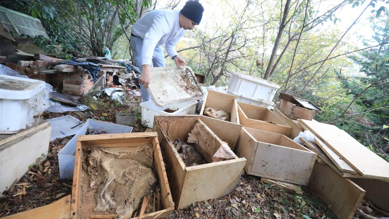 O sută de pisici moarte descoperite într-o „casă a groazei” din Nisa. Proprietarul trăia cu ele, printre rămăşiţe de veveriţe