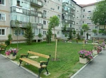 Se dau amenzi uriașe pentru românii care plantează flori sau copaci pe spațiile verzi din jurul blocurilor. De ce autorizație aveți nevoie
