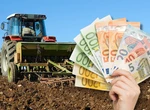 Fermierii români vor încasa mai mulți bani decât anul trecut din subvențiile APIA