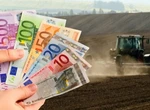 Fermierii care vor primi subvenții suplimentare. Comisia Europeană prezintă noile decizii