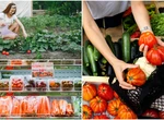De ce nu ajung micii producători români în supermarketuri? Vânzarea în piețe sau la poartă, singurele lor opțiuni chiar și în 2024