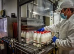 Cea mai mare fabrică din România ce prelucrează lapte a fost dotată cu roboți și energie regenerabilă. A dat lovitura pe piață după trei decenii