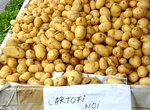 Cartofii noi vânduți la preț de cireșe de mai! Cât trebuie să scoți din buzunar pentru 1KG