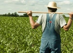 Prețurile fertilizatorilor explodează! Fermierii trec forțat la culturile BIO din lipsa banilor