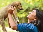 Bucureștenii au adoptat 276 de câini în 2022, în cadrul târgurilor organizate de Primăria Capitalei. O nouă ocazie de a adopta, sâmbătă, 10 decembrie 2022