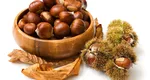 Cămara toamnei! Fructul oleaginos fără calorii recomandat de toţi nutriţioniştii. De cenu trebuie consumat crud