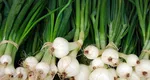 Sănătatea vine „la legătură” din piaţă. Ceapa verde – beneficii pentru sistemul imunitar și o inimă de fier