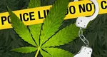 Proiectul privind legalizarea canabisului în România a fost respins de Comisia de Sănătate din Cameră