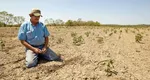 România se îndreaptă spre deşertificare. ANM a cumpărat 66 de senzori de umiditate a solului