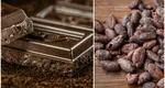 Ciocolata neagră, un deliciu regal. Care sunt beneficiile pentru organism și în ce cantități se poate consuma