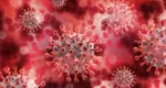 Ne putem infecta cu două tulpini diferite de coronavirus? Răzvan Cherecheş, avertismentul care dă fiori românilor