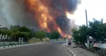 Focul, la graniţele României. Incendiile din Bulgaria au mistuit deja case şi zeci de hectare de pădure