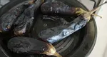 Vinete toxice: când devin vinetele periculoase pentru sănătate
