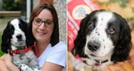 „Câinele erou” a salvat viața stăpânei lui care suferea de o boală extrem de rară. Medicii au rămas perplecși. „Simțea când corpul meu avea nevoie de medicamente”