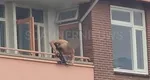 Olanda, teatrul unor scene halucinante. Un individ a început a început să tragă cu arbaleta de la balcon şi a ucis doi oameni VIDEO