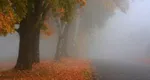 Prognoza meteo 19 octombrie. Vreme mohorâtă şi posibile ploi slabe. Noaptea şi dimineaţa se va forma ceaţă