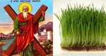 De ce se pune, de fapt,  grâul la încolțit de Sfântul Andrei. De unde a pornit tradiția și ce metodă trebuie să aplici ca să ai belșug tot anul!